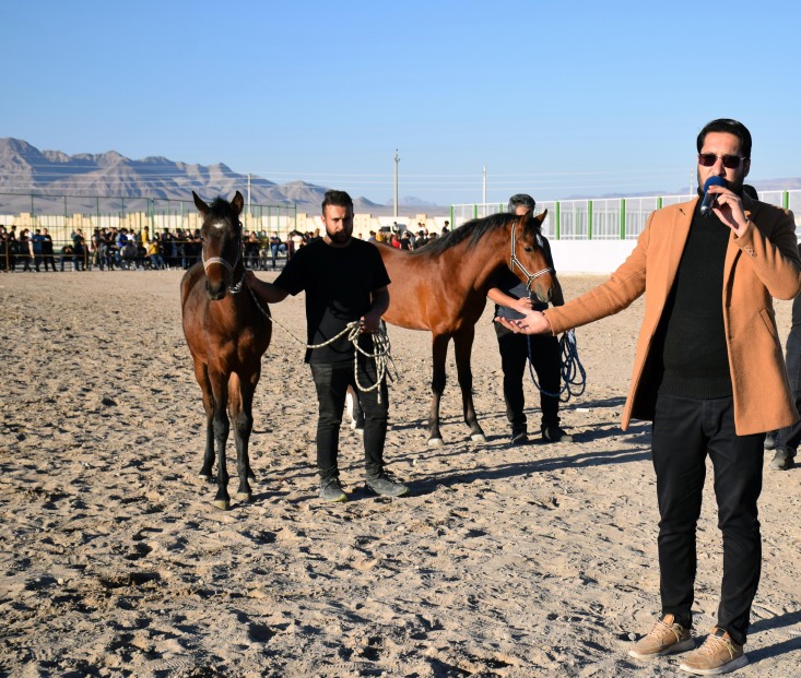 اجرای شوی سوارکاری_ 1400