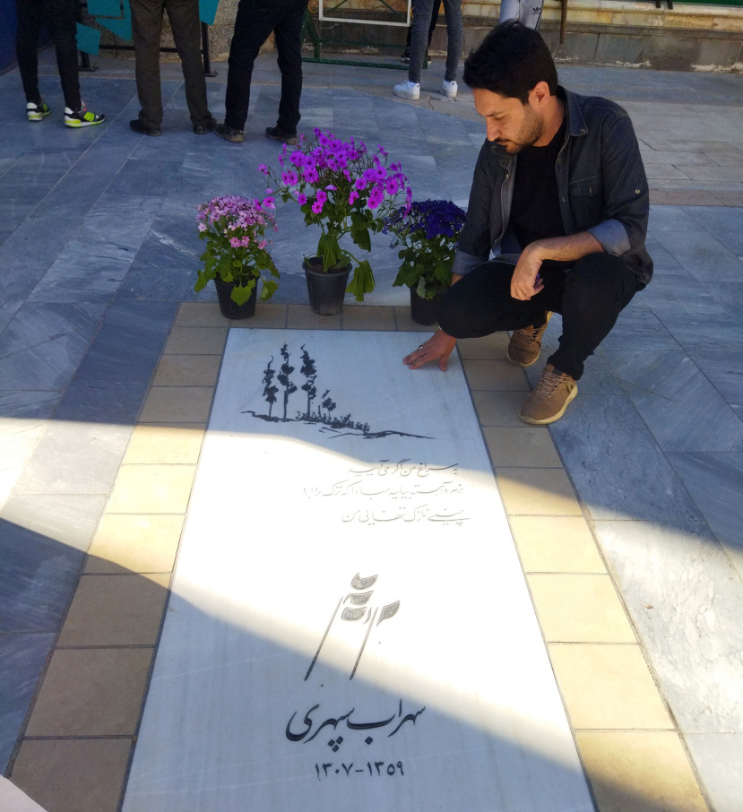 آری تا شقایق هست زندگی باید کرد - سهراب